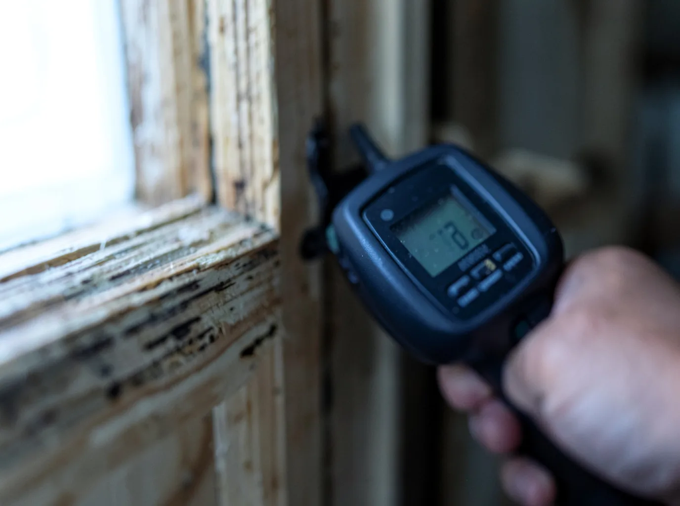 Moisture Inspection And Documentation in Steens, MS